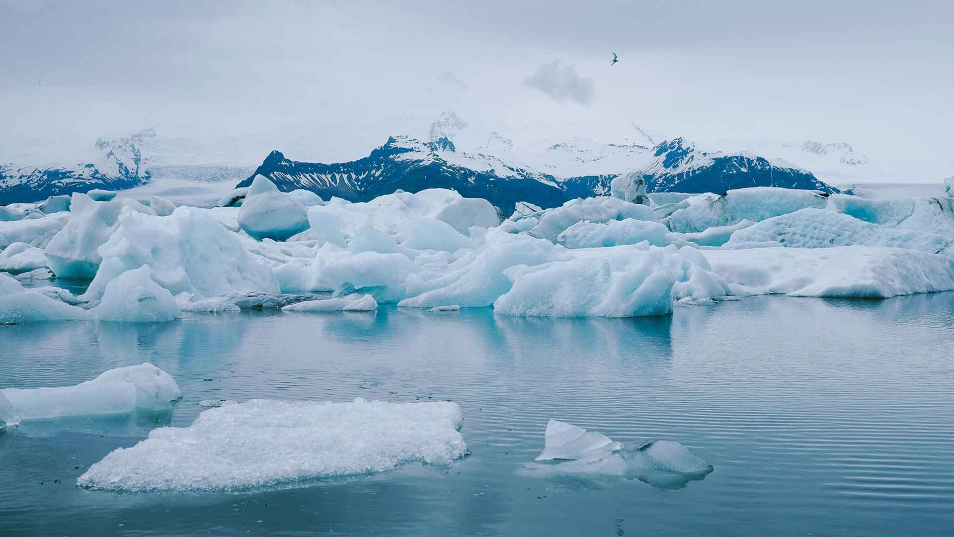 Scioglimento dei ghiacciai: a rischio un grande archivio climatico mondiale